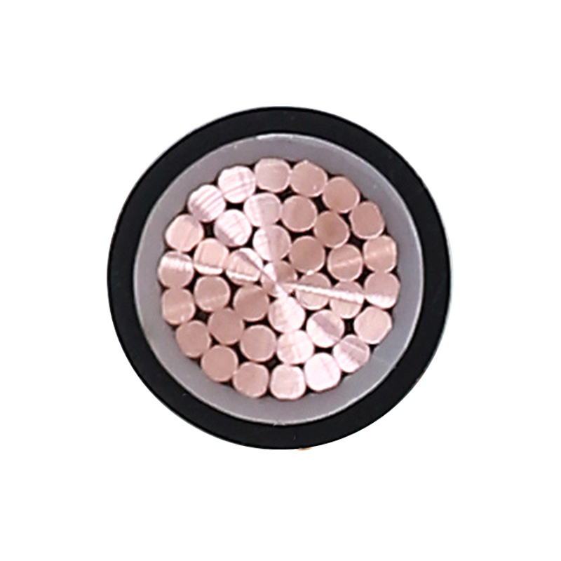 EV-oplaadkabel voor nominale spanning 450/750V