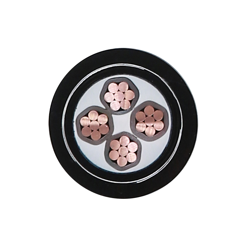 EV-oplaadkabel voor nominale spanning 450/750V