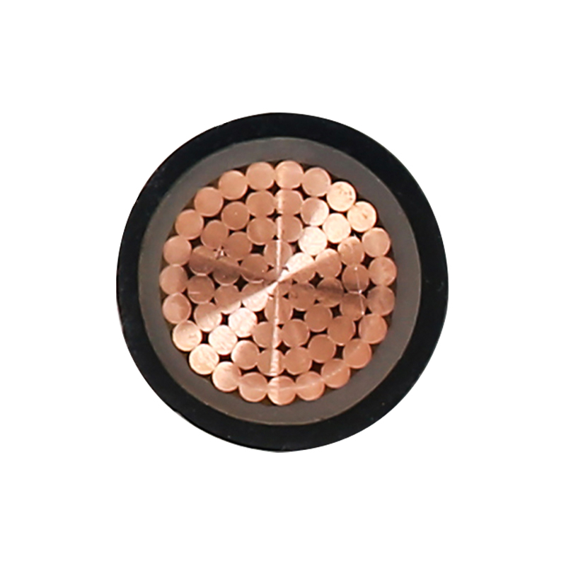 EV-oplaadkabel voor nominale spanning 450/750V