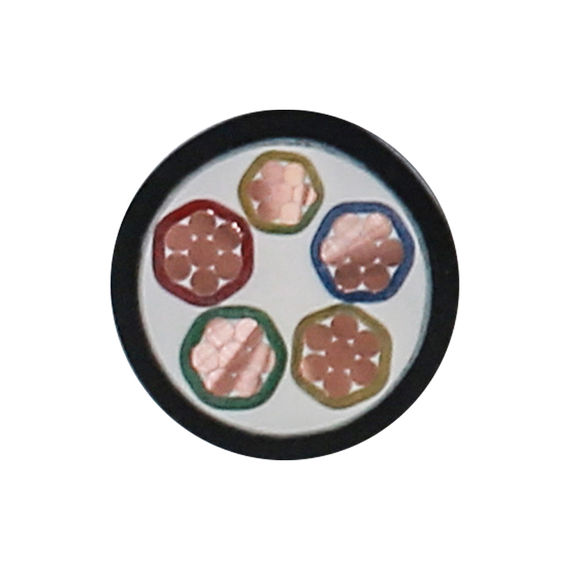 EV-oplaadkabel voor nominale spanning 450/750V