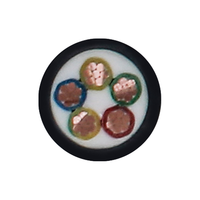 EV-oplaadkabel voor nominale spanning 450/750V