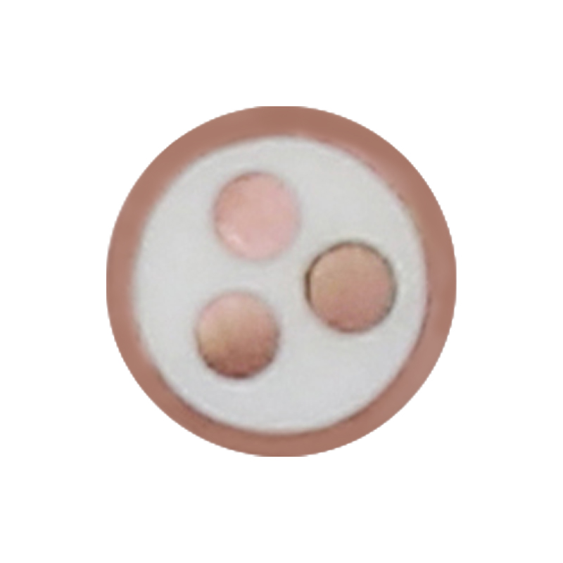 EV-oplaadkabel voor nominale spanning 450/750V