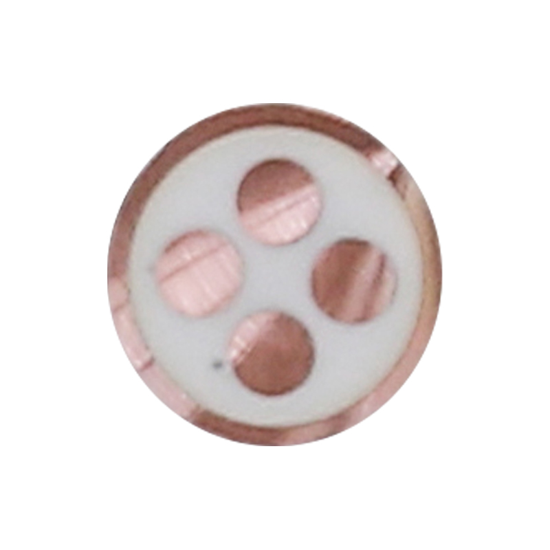 EV-oplaadkabel voor nominale spanning 450/750V