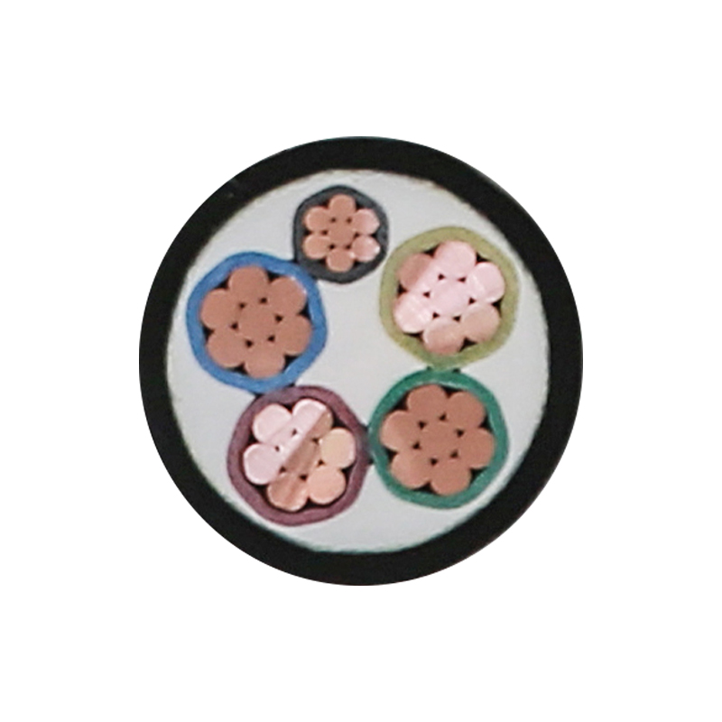 EV-oplaadkabel voor nominale spanning 450/750V