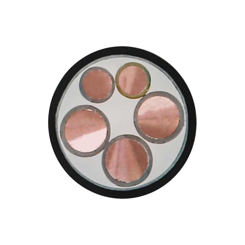 EV-oplaadkabel voor nominale spanning 450/750V