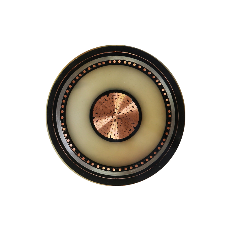 EV-oplaadkabel voor nominale spanning 450/750V