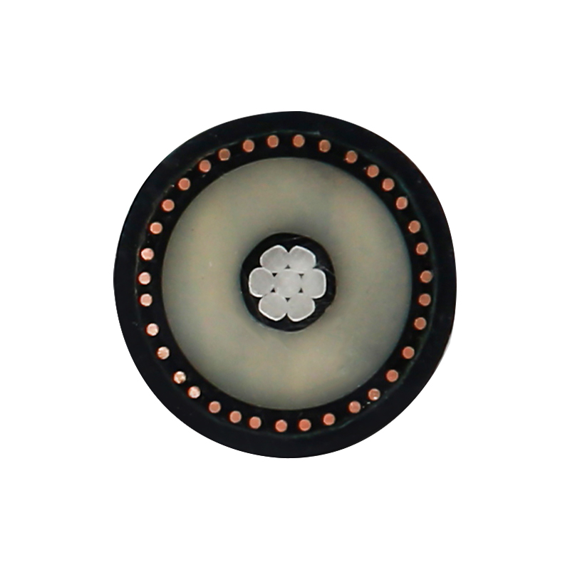 EV-oplaadkabel voor nominale spanning 450/750V