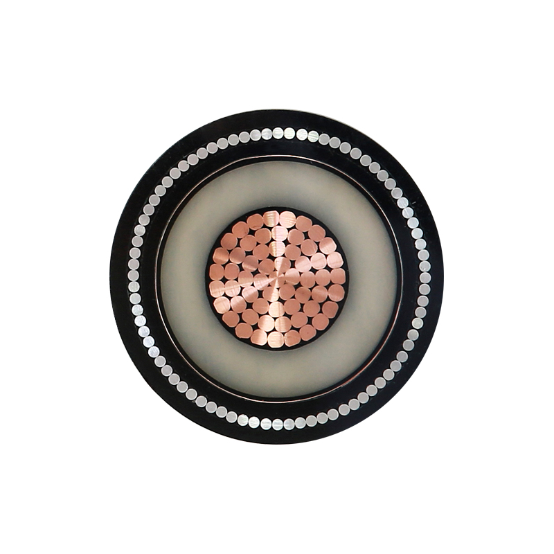 EV-oplaadkabel voor nominale spanning 450/750V