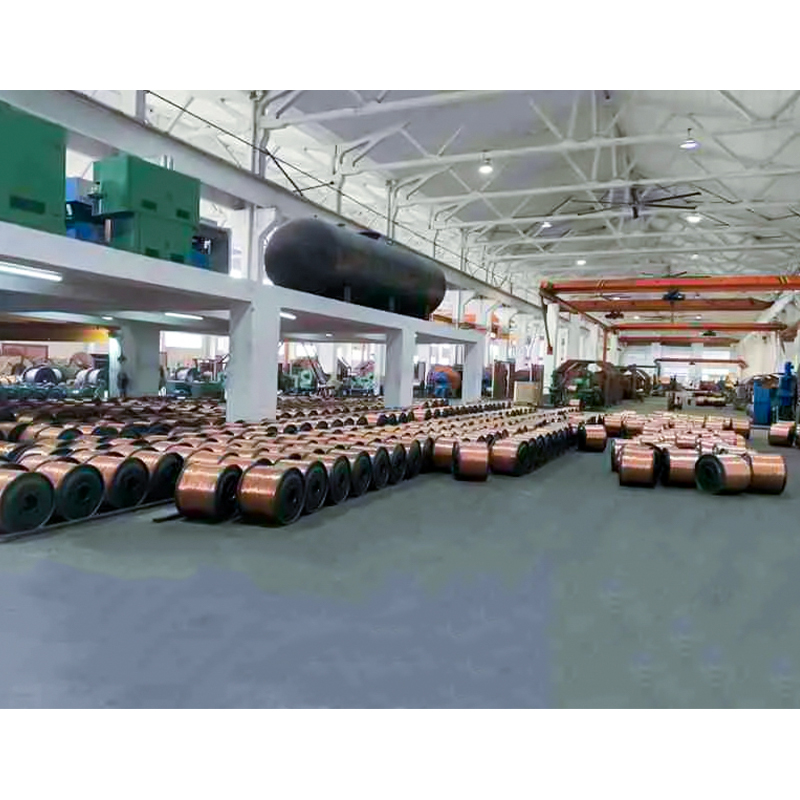 XLPE/PVC geïsoleerde kabel (draad) Nominale spanning tot en met 450/750V